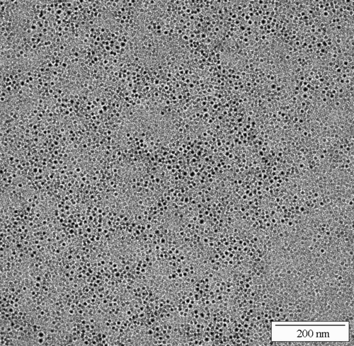 Fig. 10. Electron micrographs of the water redispersed system with 10% PalH.