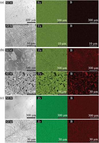 Figure 3. SEM images and element mappings of (a) Fe0.84B0.16 (b) Fe0.37B0.63 (c) Zr0.86B0.14.