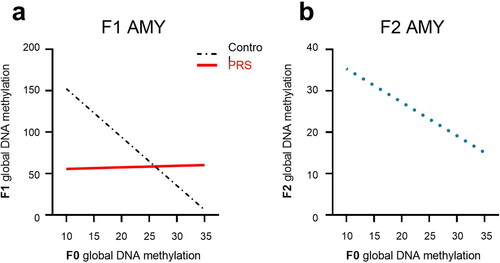Figure 6. F0 methylation as predictor of methylation levels in F1 and F2 AMY. In the AMY of F1 offspring (a), increased methylation in F0 predicted lower methylation in F1-C, but not F1-PRS rats. (b) increased methylation levels in F0 AMY predicted lower methylation levels in F2 AMY regardless of Group or offspring Sex. Numbers on the X axis reflect the range of values in our dataset.