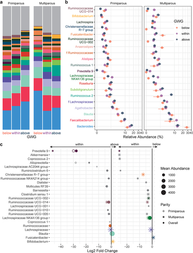 Figure 4. Taxonomic shifts with GWG in pregnant gut microbiota. a-b, the relative abundances of the 20 most abundant genera in the maternal gut microbiota by GWG below (orange, n = 7), within (purple, n = 17), and above (dark blue, n = 12) the recommended range are shown as a, mean relative abundance in taxa bar plots and b, mean ± standard error of the mean for primiparous (below, n = 5; within, n = 11; above, n = 7) and multiparous (below, n = 2; within, n = 6; above, n = 5) participant with pBMI < 25. c, dot plots showing DESeq2 results of differentially abundant genera (mean abundance > 150 reads) by GWG category overall (filled dots) and in primiparous (no fill dots) and multiparous (stars) participants (dot size based on mean abundance, colors correspond to genus color where a differentially abundant genus is among the 20 most abundant genera).