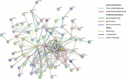 Figure 3. STRING protein–protein interaction analysis of co-genes