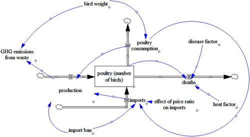 Figure 2. Basic model structure for simulation. Poultry stock in Nigeria is a function of poultry production, deaths, imports, and consumption. Consumption in the model is driven by consumer demand.