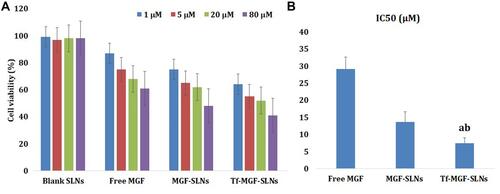 Figure 5 In vitro viability of different MGF formulations in A549 cells. Data represent mean ± SD (n = 3). (A) Cell viability cultured with blank SLNs, free MGF, MGF-SLNs and Tf-MGF-SLNs loaded at various concentrations of MGF after 24 h. (B) The IC50 values of free MGF, MGF-SLNs and Tf-MGF-SLNs-treated A549 cells. (ap <0.05, Tf-MGF-SLNs vs Blank SLNs, bp <0.05, Tf-MGF-SLNs vs free MGF, cp <0.05, Tf-MGF-SLNs vs MGF-SLNs).