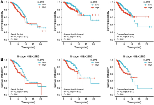 Figure 2 Kaplan–Meier survival curves comparing high and low SLC7A5 expressions in breast cancer. In the Kaplan–Meier plotter database, high SLC7A5 expression correlated with poor survival especially in patients with lymph node metastasis. (A) SLC7A5 expression displayed a poor OS, DSS and PFI in breast cancer. (B) The High SLC7A5 expression in N I–III also correlated with bad OS, DSS and PFI.