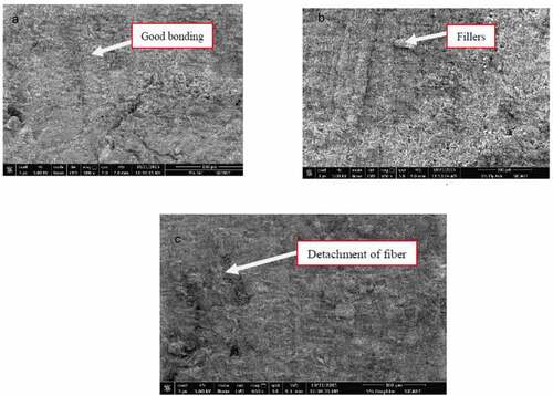 Figure 5. SEM Image of A) Graphite B) SiC C) Flyash filled cotton fiber reinforced polyester composites (Parikh and Gohil Citation2021).