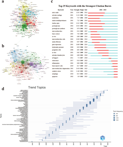 Figure 8. Keywords analysis on immune cells in disc degeneration. (a) the keywords cooperation network graph in WOSCC. (b) the keywords cooperation network graph in Scopus. The size of the nodes indicates the number of keywords, the thickness of the connections between the nodes reflects the strength of cooperation, and the color of the nodes corresponds to the clustering of the different keywords, with nodes of the same color belonging to the same cluster. (c) the top 25 keywords with the strongest citation bursts in WOSCC. The strongest citation bursts are those that occur over a short period of time with dramatic frequency changes. The red bar indicates the time period of the keyword burst. (d) the trend topics analysis used bibliometrix in Scopus. Larger nodes indicate higher frequency, the lines connecting the nodes represent the timeline of keyword appearances.