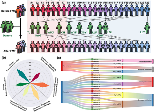 Figure 1. (a) Donor-recipient matching and prognostic information for the cohort. Acronyms stands for the donor code. Seven individuals highlighted with a red background displayed ineffective responses to FMT treatment. Another sixteen patients denoted with a blue background experienced alleviation of symptoms following FMT intervention. The gender annotations of both patients and donors were accurately aligned with real-world cases. (b) Enterotype distribution in the donor group and rCDI patient group before receiving FMT therapy. The ordinate indicates the percentage distribution of certain enterotype individuals in each group. (c) Treatment response and enterotype switching outcomes for each rCDI patient after FMT treatment.