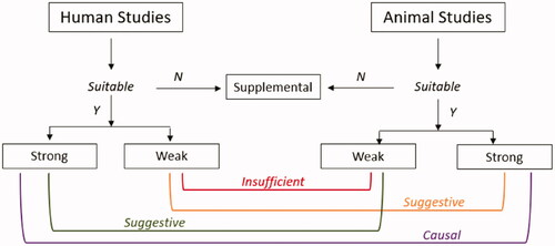 Figure 2. Evidence integration for causality determination, adapted from EPA (US EPA Citation2020b).