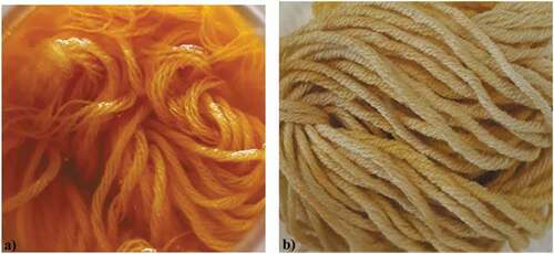 Figure 10. The coloration of merino wool yarns with mango ginger, a) Soaked in extract solution, and b) Dried