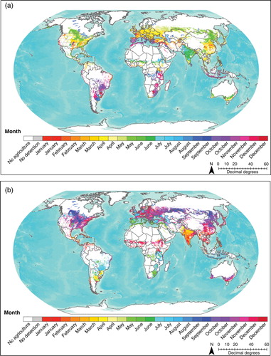 Figure 3. The global median, (a) SOS date, and (b) EOS date, as observed between 2001 and 2010. The PTDs are natively at 0.5°, but the inclusions of even a single 250 m cropped pixel in any of those half-degree grid cells would lead to a large overestimation of cropland extent. In this global view, a cropland indicator mask (GLAM-UMD; unpublished) at 0.05° has been overlaid to provide a more realistic extent of cropland area. Some grid cells (shown in grey) had no detection over 2001–2010, despite having at least some cropland present. If greater than 50% of a grid cell's time series was missing due to insufficient observations (cloud cover presence, low quality observation) that grid was not processed for PTDs.