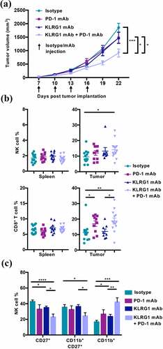 Figure 4. Combination KLRG1 and PD-1 therapy synergizes to decrease B16-F10 tumor growth