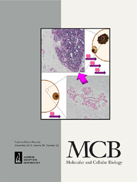 Cover image for Molecular and Cellular Biology, Volume 39, Issue 23, 2019