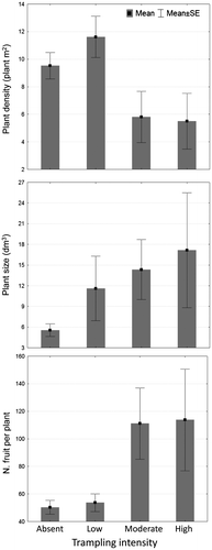 Fig. 2. Effect of human trampling on plant density, plant size and fitness.