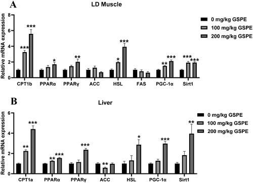 Figure 3. Effects of GSPE on lipid metabolism gene expression in LD muscle and liver. (A) The mRNA expression of lipid metabolism genes in LD muscle, (B) The mRNA expression of lipid metabolism genes in liver. Data are presented as means and SEM (n = 6). *p < 0.05, **p < 0.01, and ***p < 0.001. CPT1a: carnitine palmitoyl-transferase-1a;CPT1b: carnitine palmitoyl transferase-1b; PPARα: peroxisome proliferator-activated receptor α; PPARγ: peroxisome proliferator-activated receptor γ; ACC: Acetyl-CoA carboxylase; HSL: hormone sensitive lipase; FAS: fatty acid synthase; PGC-1α: peroxisome proliferator-activated receptor gamma coactivator 1 alpha; Sirt1: sirtuin 1.