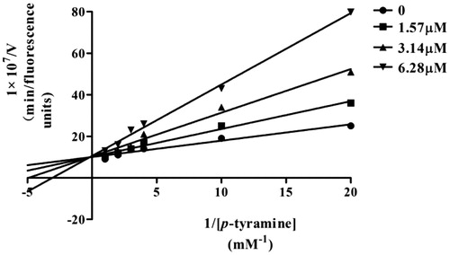 Figure 4. Kinetic study on the mechanism of hMAO-B inhibition by w18. Overlaid Lineweaver–Burk reciprocal plots of hMAO-B initial velocity at increasing p-tyramine concentration (0.05–1 mM) in the absence of inhibitor and in the presence of w18 are shown. Lines were derived from a weighted least-squares analysis of the data points.