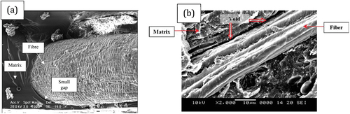 Figure 8. SEM micrograph of composite fiber with different matrix (a, left) matrix epoxy (b, right) matrix PVC. Reproduced under common creative lisence from (a) Arif et al. (Citation2010) and (b) Hassan et al. (Citation2010).