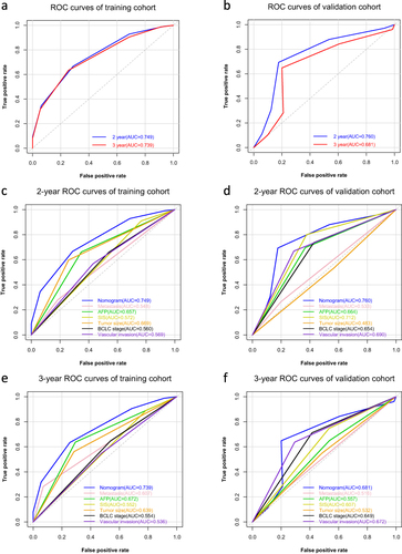 Figure 4 Nomogram has better predict ability than other prognostic factors. (a and b) ROC analysis of 2- and 3-year overall survival for nomogram in the training cohort (a) and validation cohort (b). (c and d) AUC of ROC curves compared the prognostic accuracy for 2-year survival of the nomogram and other prognostic factors in the training cohort (c) and validation cohort (d). (e and f) AUC of ROC curves compared the prognostic accuracy for 3-year survival of the nomogram and other prognostic factors in the training cohort (e) and validation cohort (f).