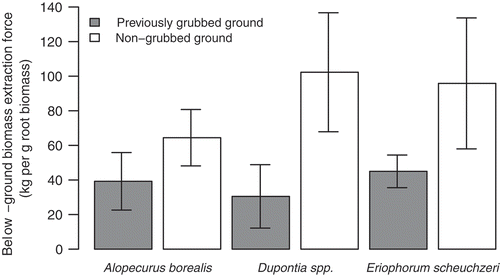 Figure 4. Below-ground biomass extraction forces per equivalent mass of root biomass for three pink-footed goose forage species.Note: Bars indicate 95% confidence limits.Source: Data for samples from “non-grubbed ground” from Anderson et al. (Citation2012).