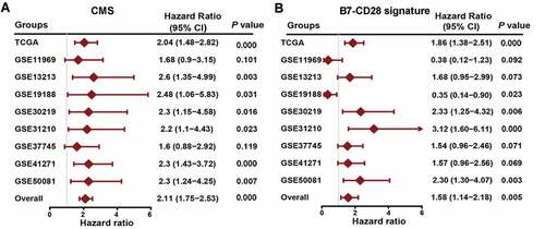 Figure 3. Compare CMS with previous costimulatory molecules signature. (a) a meta‐analysis was performed using the prognostic results of CMS in nine public datasets. (b) a meta‐analysis was performed using the prognostic results of the B7-CD28 signature in nine public datasets.
