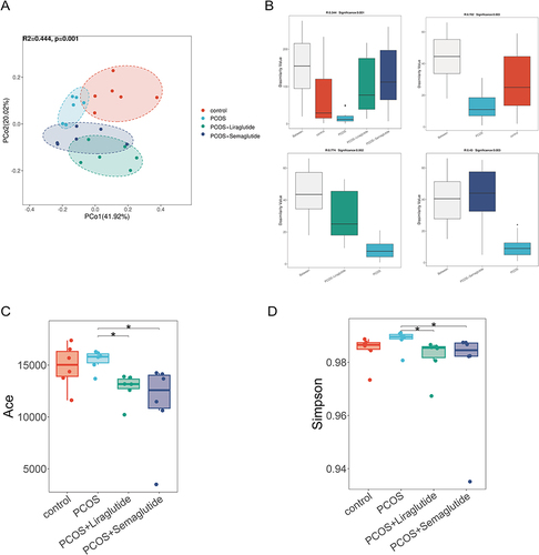 Figure 1 Liraglutide and semaglutide changed both the α and β diversity of gut microbiota in DHEA-induced PCOS mice. (A)Principal coordinate analysis (PCoA) with Bray-Curtis distance among four groups at the species level. (B) Analysis of similarities(ANOSIM) with Bray-Curtis distance among four groups, between the control group and the PCOS group, between the PCOS group and the PCOS+Liraglutide group, and between the PCOS group and the PCOS+Semaglutide group at the species level, respectively. (C) The ACE index shows the community richness of each group. (D) The Simpson index shows the community diversity of each group. *P <0.05.