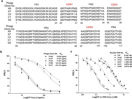 Figure 2. (a) Sequence alignment of five positive colonies. (b) Calibration curves of five clones for CIT analysis by phage ELISA. Binding percentages were calculated as follows: B/B0 × 100%, herein B is the absorbance of CIT and phage AI-VHHs and B0 is the absorbance of the blank solution. (c) Performance of the five purified AI-VHH fragments using as a surrogate of CIT standard in conventional indirect competitive ELISA. Error bars are standard deviations of the mean with n = 3.