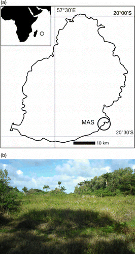 Figure 3 a) Mauritius and Mare aux Songes. From Rijsdijk et al. (Citation2009); (b) Mare aux Songes. Courtesy of Lorna Steel.