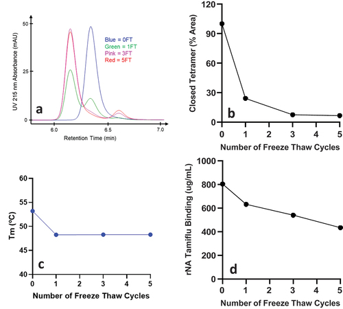 Figure 1. Freeze thaw (F/T) induced rNA conformational changes that impact physiochemical properties and functional activities. The rNA in NaPBS was subjected to 1, 3 and 5 F/T cycles and the impact was assessed by SEC, extrinsic fluorescence, and Tamiflu binding. (a) SEC profiles show a change from ‘closed’ to ‘open’ tetramer conformation after F/T stress. Changes in physiochemical properties were also observed in terms of (b) % Closed tetramer by SEC (n = 2), (c) Reduction in melting temperature Tm (n = 2) and (d) Reduced functional activity in terms of Tamiflu-binding (n = 3).
