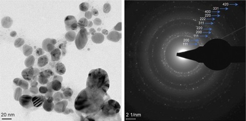 Figure 10 High-resolution transmission electron microscopy image of silver nanoparticles and selected area electron diffraction pattern.
