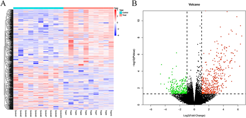 Figure 2 Screening of DEGs. (A) Heatmap showing DEGs in the treatment group vs the control group. (B) Volcano map showing DEGs in the treatment group vs the control group.