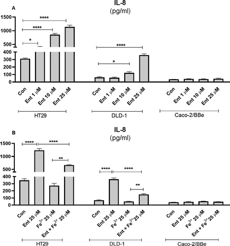 Figure 2. Pro-inflammatory effects of Ent on models of human intestinal epithelia. (a) HT29, DLD-1 and Caco-2/BBe cell monolayers were incubated with Ent (0–25 µM) for 24 h in serum-free media supplemented with 1% penicillin-streptomycin and culture supernatants were collected and assessed for IL-8 secretion by ELISA. (b) The monolayers of HT29, DLD-1, and Caco-2/BBe cells were incubated overnight with Ent (25 µM), FeCl3 (Fe3+) or Ent with an equimolar concentration of FeCl3 and supernatants were analyzed for IL-8. Con denotes cells treated with DMSO as vehicle control. In vitro assays were performed in triplicates and data represented as mean ± SEM. * p < .05, **p < .01, *** p < .001 and **** p < .0001