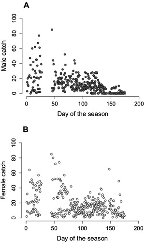 Figure 2. Number of Lake Manapouri longfin eels caught compared to the day of the fishing season, day 0 is the 27th of November. Four fishing seasons are combined. n = 336 days. A , number of males caught (p = .002). B, number of females caught (p = .39). The break in the data (day 25–45) is over the Christmas–New Year period.