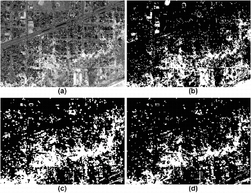 Figure 4. IKONOS data and classification results: (a) IKONOS-2 panchromatic image (Source: DigitalGlobe 2-Sep-05); (b) spectral only classification; (c) textural only classification; (d) spectral–textural classification (white = debris class, black = non-debris class).