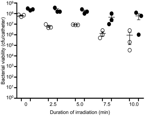 Figure 14. Killing of biofilm-associated S. aureus with AuNC@Gen/PDA-aPa. S. aureus biofilms were allowed to form on catheters before being placed into 500 μl of BFM containing 0.4 nM AuNC@Gen/PDA-aPa. Control catheters were not irradiated (0 min), while test catheters were irradiated for the indicated period of time. The number of viable bacterial cells was then determined at 0 h (open circles, PT effect) and after an additional 24 h incubation (filled circles, antibiotic effect).