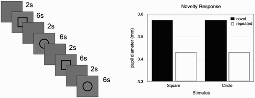 Figure 4. ( A) Stimulus sequences used in simulation 2. Each stimulus is repeated twice. ( B) Results of simulation 2. The pupil dilation is largest for the first presentation of each stimulus.