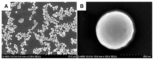 Figure 4 Scanning electron microscopic images of BBF-loaded PLLA nanoparticles. (A) BBF-loaded PLLA nanoparticles at low magnification. (B) BBF-loaded PLLA nanoparticles at high magnification.Abbreviations: BBF, (Z-)-4-bromo-5-(bromomethylene)-2(5H)-furanone; PLLA, poly(L-lactic acid).