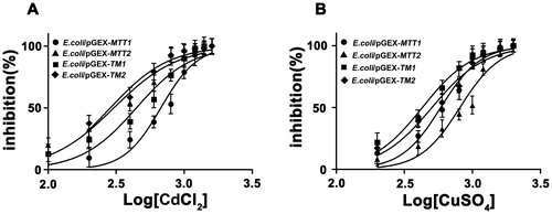 Figure 3. Cd and Cu dose–response curve of recombinant MT E. coli. Recombinant E. coli/pGEX-MTT1, E. coli/pGEX-MTT2, E. coli/pGEX-TM1, and E. coli/pGEX-TM2 were exposed to CdCl2 (A) and CuSO4 (B). Cell concentration was measured at 600 nm using a spectrophotometer. All data are expressed as mean ± SD (n = 3).
