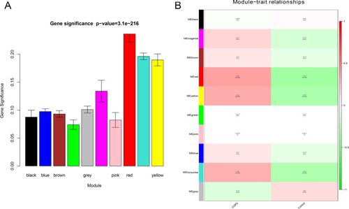 Figure 6 Identification of modules associated with clinical traits of COPD. (A) Distribution of average gene significance and errors in different modules. (B) Heatmap of correlation between module eigengenes and clinical traits of COPD.