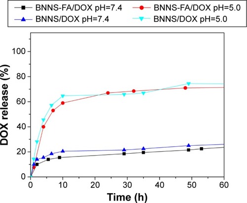 Figure 7 pH-dependent DOX release from BNNS/DOX and BNNS-FA/DOX complexes versus time.Abbreviations: BNNS, boron nitride nanospheres; FA, folic acid; DOX, doxorubicin hydrochloride; h, hour(s).