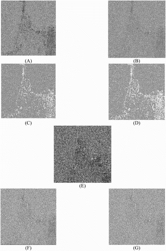 Figure 10. San Francisco: ratio images resulted from: (A) the 5 × 5 average filtered image, (B) the 5 × 5 MMSE (Lee Citation1980, Citation1981a) filtered image, (C) the 5 × 5 enhanced Lee (Lopes, Touzi, and Nezry Citation1990) filtered image, (D) the 5 × 5 Gamma (Lopes et al. Citation1993) filtered image, (E) PPB (Deledalle, Denis, and Tupin Citation2009) filtered image with hw = 20, hd = 5, and 1 iteration, (F) average filtered image with adaptive window size, and (G) MMSE filtered image with adaptive window size from the San Francisco image.