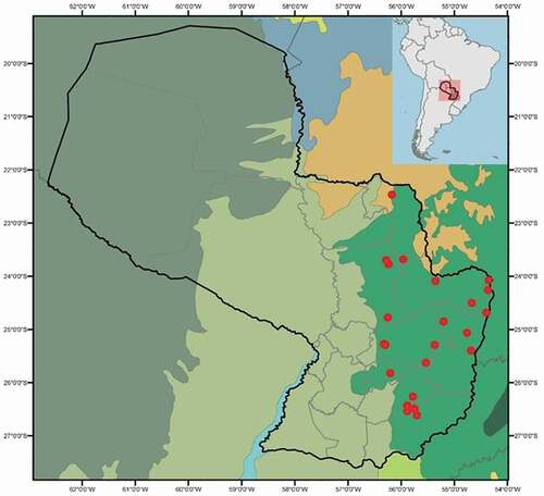 Figure 1. Map showing the ecoregions in Paraguay. Atlantic Forest (Bright Green); Humid Chaco (Pale Green); Dry Chaco (Dark Green); Cerrado (Orange); Pantanal (Pale Blue). Localities where Aramides cajaneus and A. saracura occur in sympatry are represented with red circles