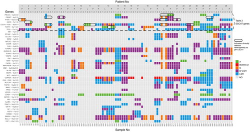 Figure 2. Illustration of SCNAs detected in 45 preselected genes in biopsies from the 33 tumors. The Y-axis depicts the 45 preselected genes and the X-axis depicts the biopsies grouped and ordered by patient number. At the bottom, sample numbers are visible. The three entries for each tumor correspond to the three biopsy positions: the central biopsy is labeled as 1, the semi-peripheral biopsy as 2, and the peripheral biopsy as 3. Primary tumors and lymph node metastases are indicated with P and L respectively. The color bar to the right displays the actual aberration in the specific gene. Abbreviations. A: amplification; D: deletion; LOH: loss of heterozygosity; NO: none observed. The genes above the dashed horizontal line correspond to Table 2 and the results marked with a circle indicate clinically relevant heterogeneity in genes in Table 2 as well.