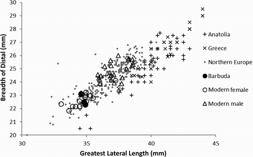 Figure 3. Plot of astragalus measurements – breadth of distal against Greatest Lateral Length – for archaeological and modern fallow deer from Europe and Barbuda.