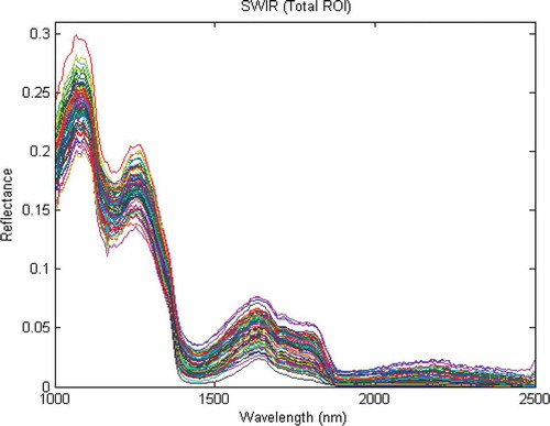FIGURE 5 Raw spectra of rainbow trout by SWIR hyperspectral imaging.