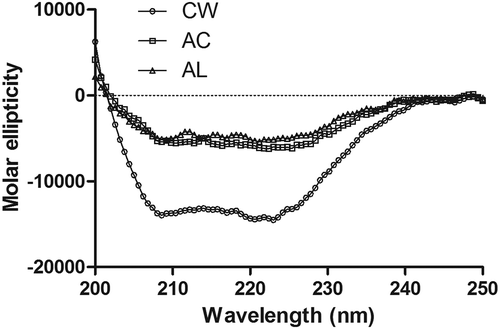 FIGURE 4 CD spectrum of actomyosin extracted from minced bighead carp muscles prepared by different treatments. CW: conventional washing method, AC: acid-aided processing, AL: alkali-aided processing.