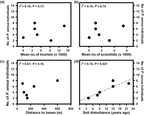 Fig. 2  Analysis of correlations between abundance of Poa annua recorded at different sites and (a) annual mean number of tourists landed, (b) annual mean number of scientists landed, (c) distance to main building of each site, and (d) time in years since last time that a building was built or renovated in each site. We considerate in this analysis all sites containing some P. annua individuals: General Bernardo O'Higgins Station in northern Graham Land, Almirante Brown Station at Paradise Bay, Gabriel González Videla Station at Paradise Bay, two sites at Henry Arctowski Station at King George Island, and Deception Island.