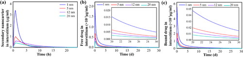 Figure 7. Temporal distribution of therapeutic agents inside the tumor interstitium by considering secondary nanoparticles in different sizes, for 150-nm primary nanoparticles; Temporal distribution of (a) secondary nanoparticles in extracellular space, (b) free drugs in extracellular space, (c) bound drugs in extracellular space. Smaller secondary nanoparticles exhibit improved therapeutic response by providing a higher concentration of free drugs in the interstitium.