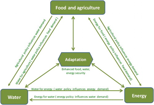 FIGURE 1 The interfaces among water, energy, food, and adaptation