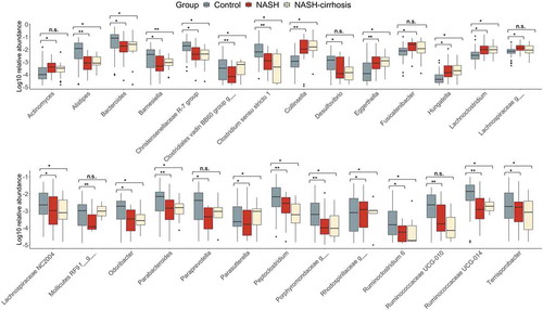 Figure 4. Relative abundance of all OTUs significantly associated (FDR p < .05) with the NASH group. *p < .05, **p < .01