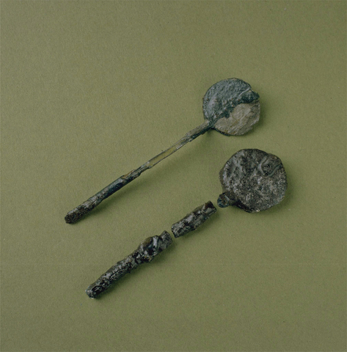 Fig. 2. Dress pins made from iron where the same type also exists in bronze. Grave finds from Önsta-Gryta, Västmanland (SHM 31576). Photo: Sören Hallgren, The Swedish History Museum/SHM (CC BY).