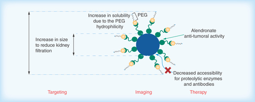 Figure 10.  γFe2O3 at alendronate-polyethylene glycol nanoplatform nanoparticles showing the covalent attachment of the drug to the polymer.PEG: Polyethylene glycol.Reproduced with permission from [Citation52].